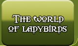 world of ladybirds