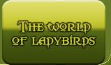 World of ladybirds